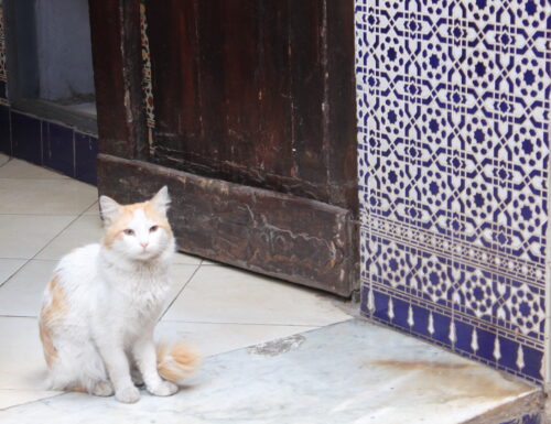 Un viaggio a Marrakech – consigli pratici