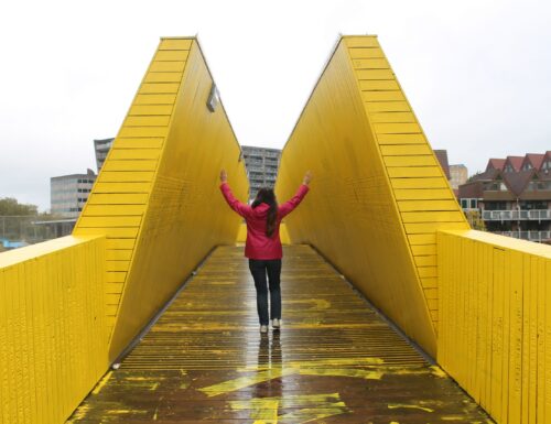 Rotterdam in un giorno tra statue bizzarre e case cubiche