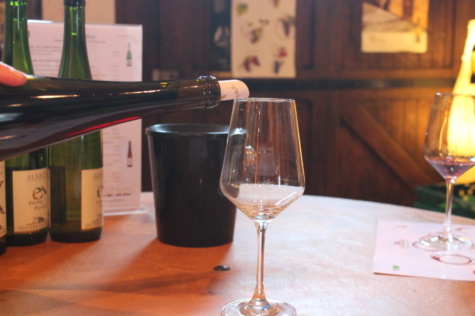 Domaine Freyburger- Alsazia sulla via del vino