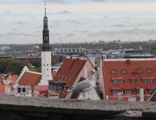 Tallinn con i bambini – 5 cose da fare e spunti per la visita