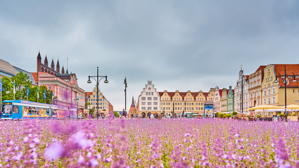 Bruges - piccole e medie città da visitare in primavera in Europa